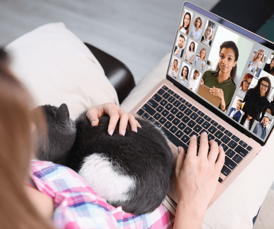 Woman with laptop and cat on laps