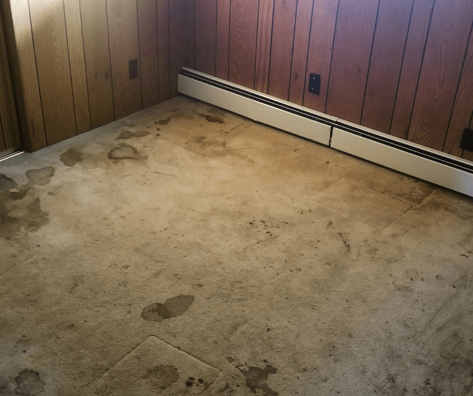 How to Cover up a Dirty Carpet?